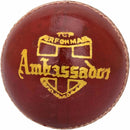 BDM Ambassador Ball