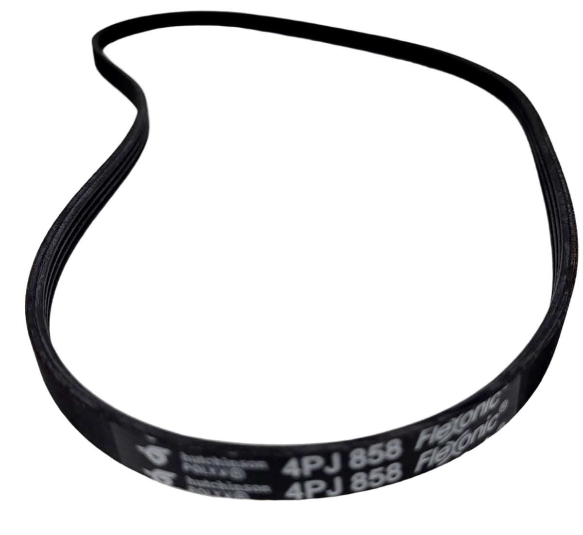 Elgi Ultra Grind Poly Belt 2 Liters - Gandhi Appliances