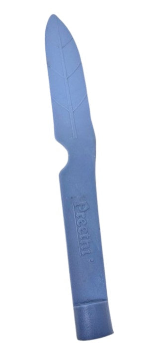 A blue Preethi brand spatula with a smooth surface, used for kitchen cooking purposes.