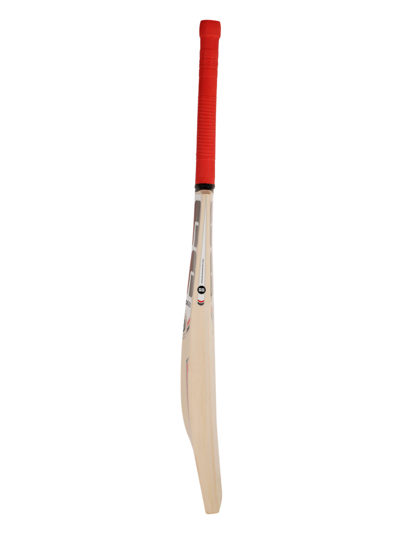 SS Slogger Kashmir Willow Cricket Bat with Bat Cover