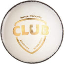 SG Club Leather Ball Four Pitch (White) Cricket Ball
