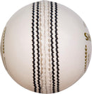 SG Cricket Shield 20 Premium Leather Ball