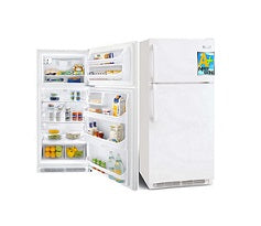 Frigidaire MRTG18V5PW Top Mount Refrigerators 220V