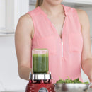 Oster BLSTMJ-500 Mini-Blend Jars, 500ml, Black